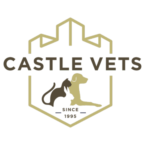 Castle Veterinary Clinic - Clondalkin logo
