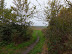 Footpath leading out across the fields towards Friston