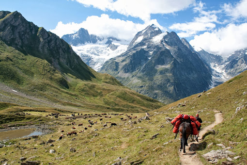 Женский взгляд на Mont Blanc (TМВ в августе 2013)