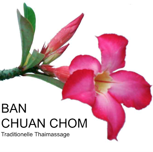 Nah Vee's Thai-Massage logo