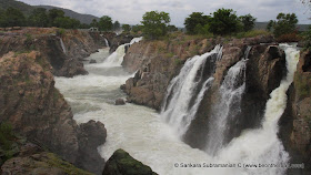 Tumbling from all corners - Hogenakkal Falls