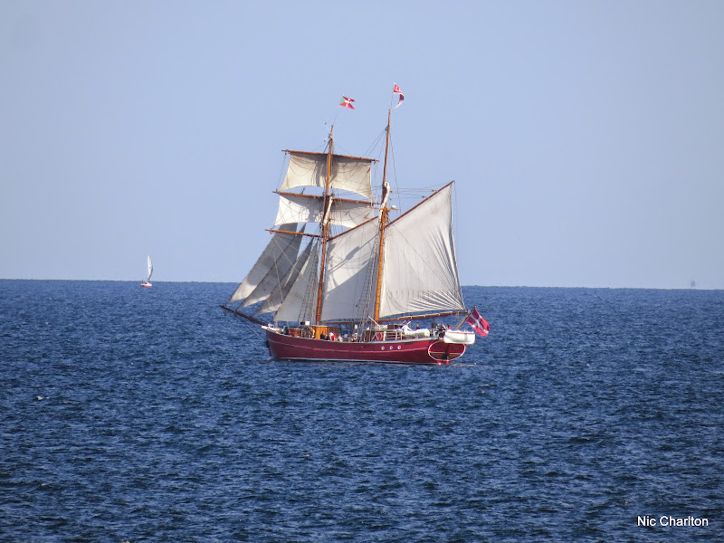 IMAGE: https://lh5.googleusercontent.com/-T34Uqpkc3CA/U5ahmtn8T0I/AAAAAAAASqk/6m57VFdDaFc/s800/IMG_2520.JPG