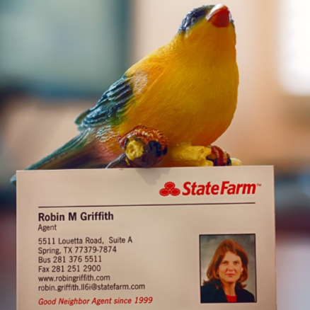 Robin Griffith - State Farm Insurance Agent