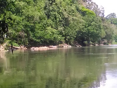 Photos of Comisariato Chachagua