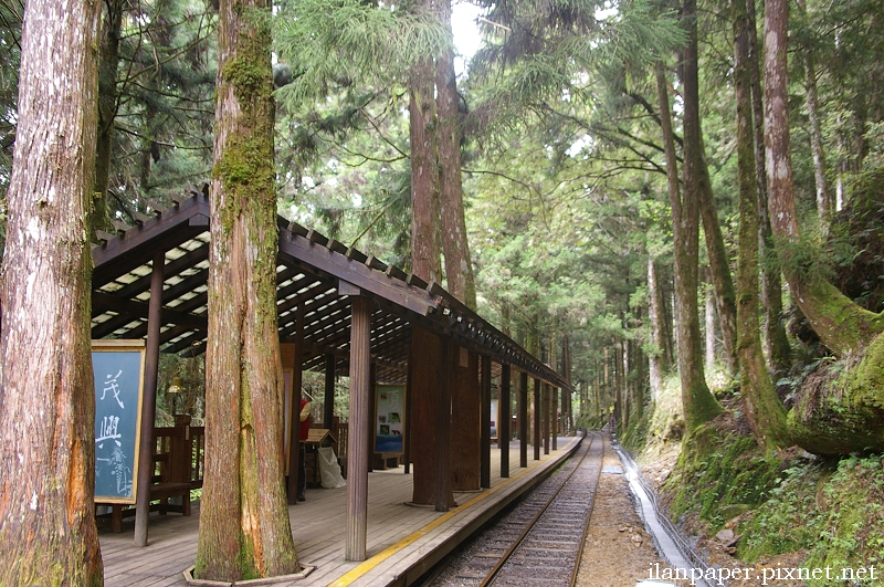 太平山 蹦蹦車