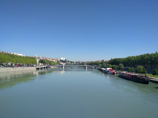 Pont Wilson