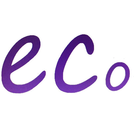 ECo health logo