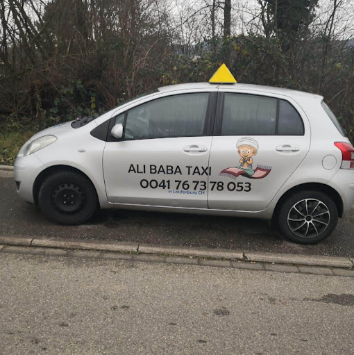 Ali Baba Taxi Fricktal