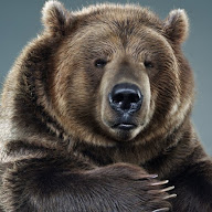 Bear GRiZZLY Xi's user avatar