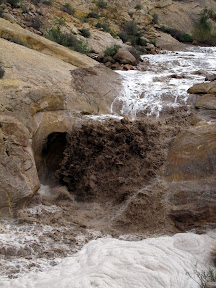 Flash flood in Three Finger Canyon
