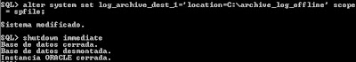 Activar el modo ARCHIVELOG en Oracle 11g R2