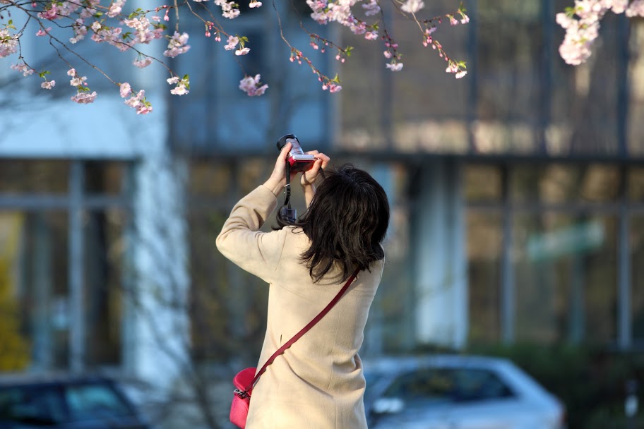 IMAGE: https://lh5.googleusercontent.com/-TZko24jrACg/T3lJdX4WHaI/AAAAAAAADgs/AeVufo656aA/s912/IMG_3395.JPG