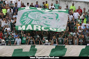 TORCIDA UNIFORMIZADA DO PALMEIRAS