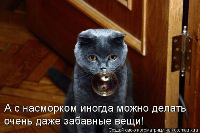 Ни дня без улыбки. Это не судьба.. Ни дня без улыбки. Это не судьба..