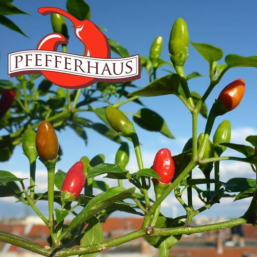 Pfefferhaus Onlineshop (nur Online) logo