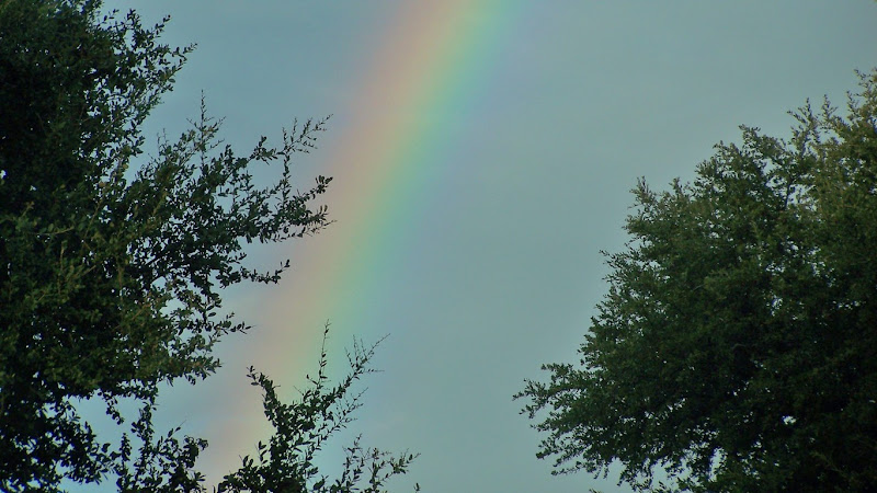  Rainbows Wallpaper Collection For Your Desktop