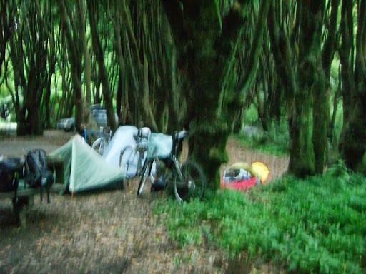  A blurry camping side in Gualala 