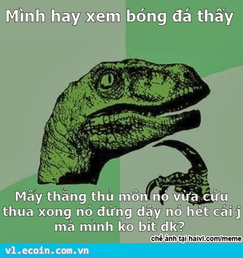 Hỏi ngu