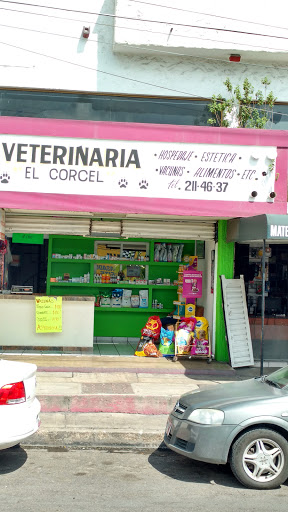 El Corcel VETERINARIA, C Xalisvo,, Blvd. Tepic-Xalisco 30, Nuevo Progreso, 63782 Xalisco, Nay., México, Cuidados veterinarios | NAY