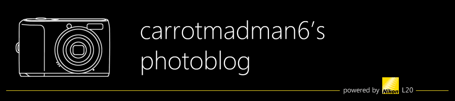 carrotmadman6's photoblog
