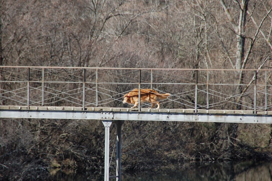 DSC_8682.JPG