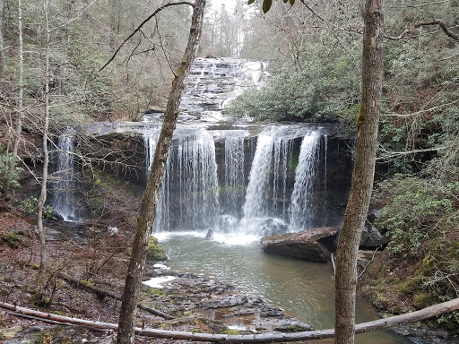Brasstown Falls