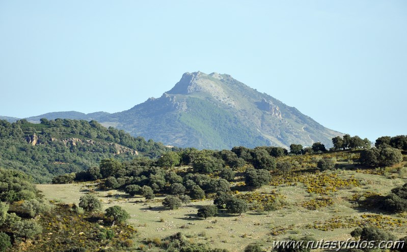 Subida a los Cerros Patagalana y Lajares