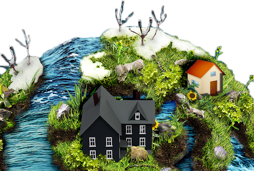 Агентство Круиз