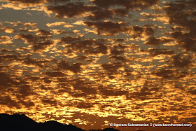 Vivid and Vibrant Evening Sky at Kaziranga - 4