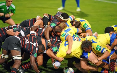 SABATO TORNA LA HEINEKEN CUP A PARMA: LE ZEBRE OSPITANO I FRANCESI DEL TOLOSA SABATO TORNA LA HEINEKEN CUP A PARMA: LE ZEBRE OSPITANO I FRANCESI DEL TOLOSA