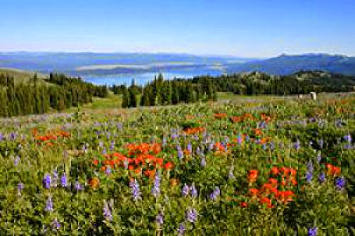 Ufo Ufo Sighting The Idaho Mountain Case 2000