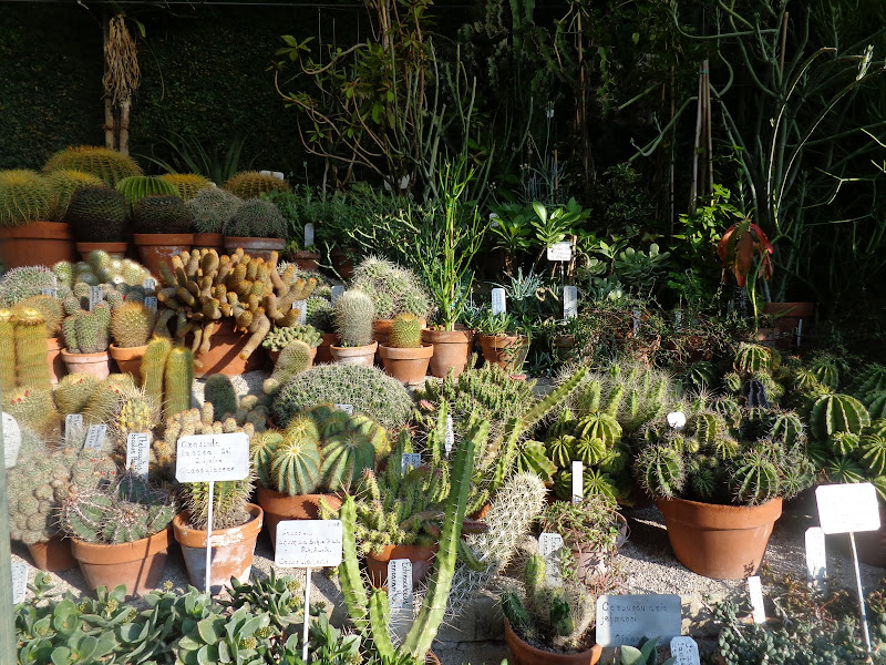 Круиз на Queen Elizabeth, 12-24 октября 2012