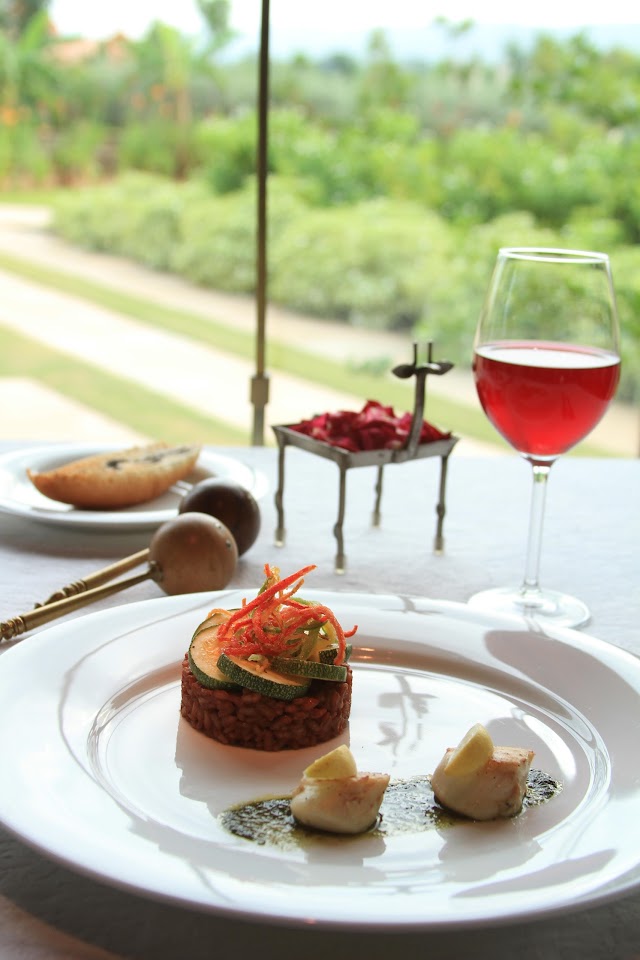 The Tree of Life Resort & Spa