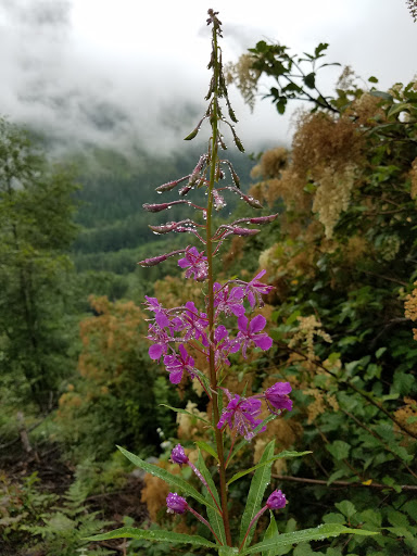 Iron Goat Trailhead