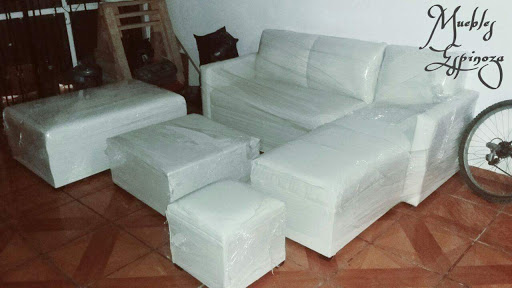 Muebles Espinoza, 37180, Enriqueta 208, Peñitas, León, Gto., México, Fábrica de muebles | GTO