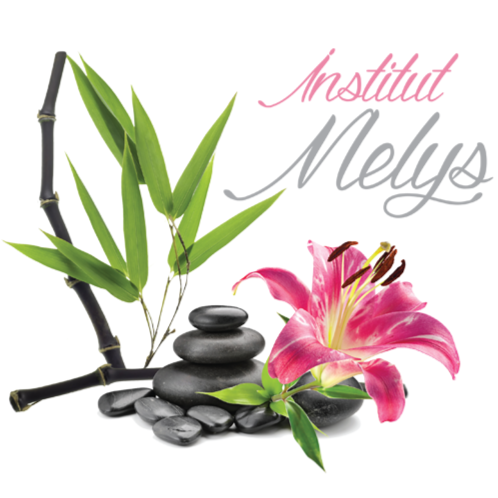 Institut Melys logo