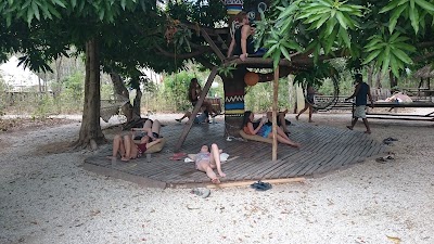 Photos of Dreamsea Surf Camp Costa Rica