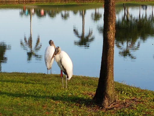 Condominium Complex «Hollybrook Golf and Tennis Club», reviews and photos, 900 Hollybrook Dr, Pembroke Pines, FL 33025, USA