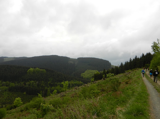 " Bödefelder Hollenmarsch", 101km (ou 67,...): 10-11/5/2013 B%25C3%25B6defeld%252C%2B1819-05-12%2B073