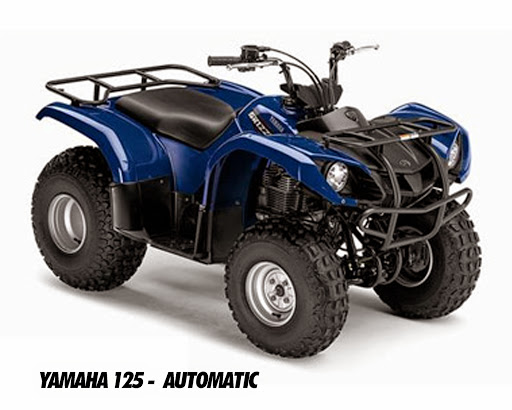 Ямаха Гризли 125 2008