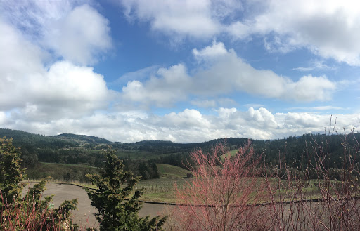 Winery «Colene Clemens Vineyards», reviews and photos, 22501 NE Dopp Rd, Newberg, OR 97132, USA