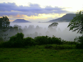 Bellbunya Mist