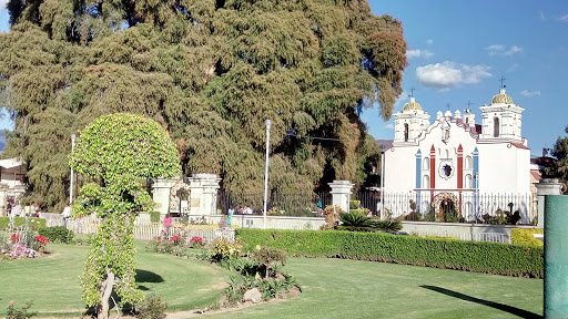 Árbol del Tule, 2 de Abril, 8va Etapa IVO Fracc el Retiro, Santa María del Tule, Oax., México, Punto de referencia | OAX