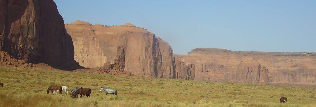 Caballos navajos pastando