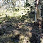 Crossing a small gully (298694)