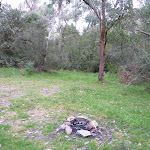 Open area at back of Bradneys Gap Camping area