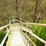 Steep metal stairs near the Mt Sugarloaf summit (324179)