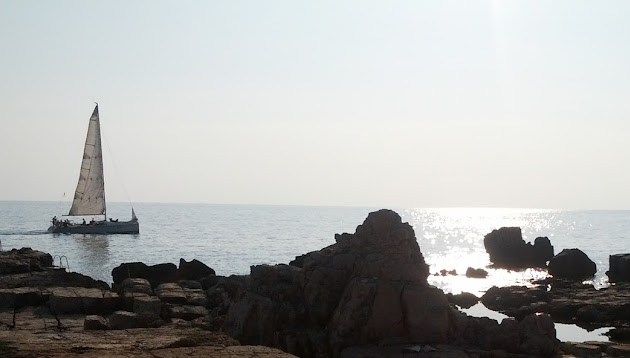 Cover photo