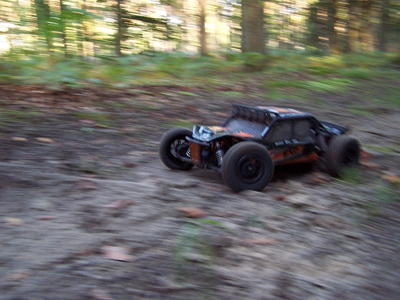 My Axial EXO Terra Buggy - Page 4 100B7283