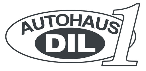 Autohaus DIL GmbH (zweite Filiale) logo